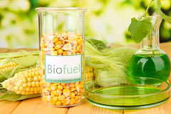 Common Platt biofuel availability