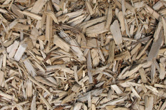 biomass boilers Common Platt